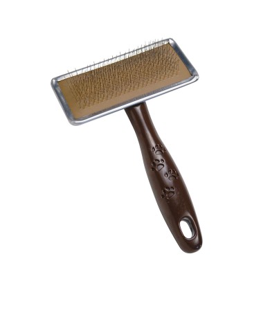 CARDA Rectangular Macia M – Gloria Pets | Éclatant
