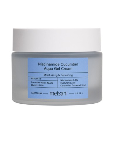 Meisani Niacinamide Pepino Aqua Gel Creme 50ml | Éclatant